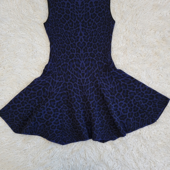 RVN Knit Jacquard Fit Flare Sleeveless Leopard Print Dress - Picture 10 of 11